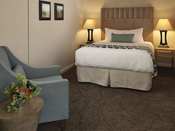 A hotel room with a queen bed, two bedside lamps, a beige headboard, a small seating area, and a potted plant in the foreground.
