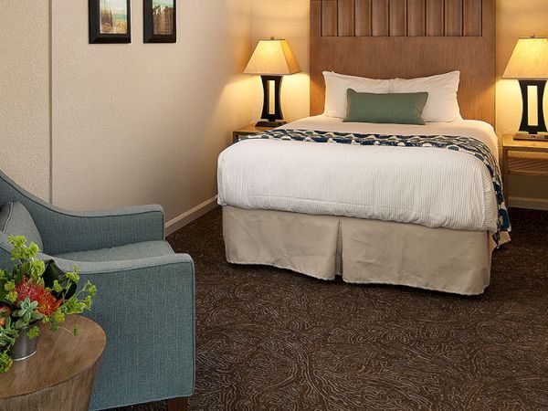 A hotel room with a bed, two nightstands with lamps, a sofa, and a small table with a plant on the left.