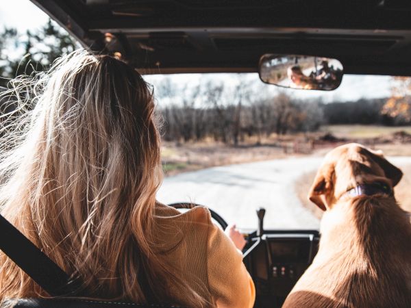 A person with long blond hair sits in the front seat of a car, wearing a seatbelt, while a dog rides in the passenger area as they drive along a winding rural road.