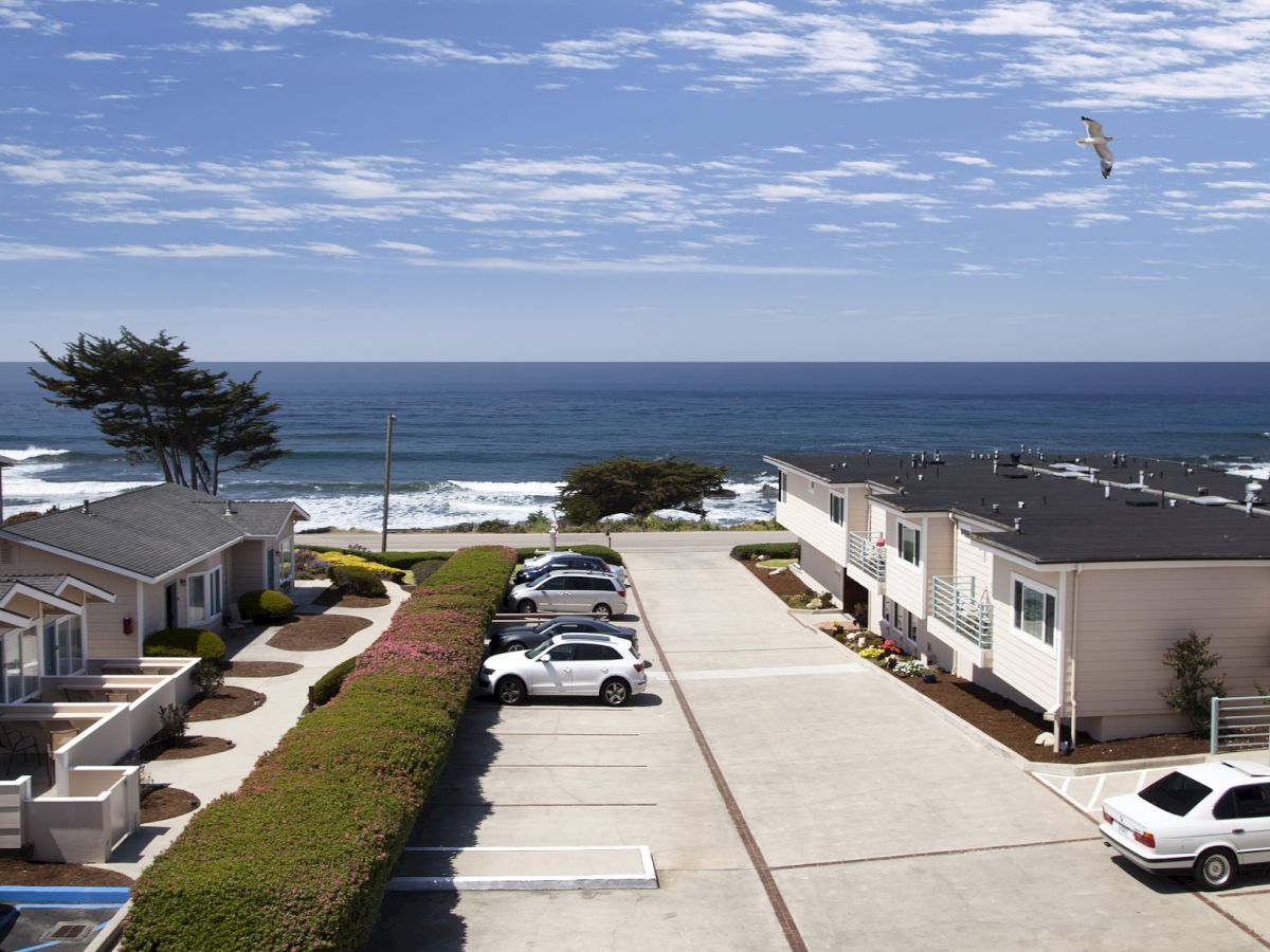 Cozy coastal apartment complex with white townhomes along a paved parking lot, ocean view beyond, and a seagull soaring above the horizon.